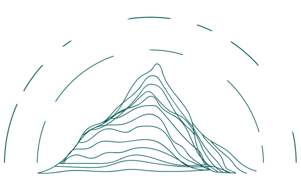 Topographical Surveys